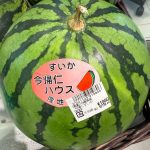 【沖縄夏の味覚】今帰仁スイカ|旬はいつ?特徴とおすすめの食べ方